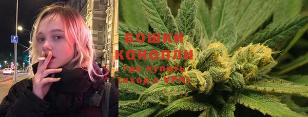 кокс Белокуриха