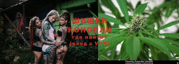 кокс Белокуриха