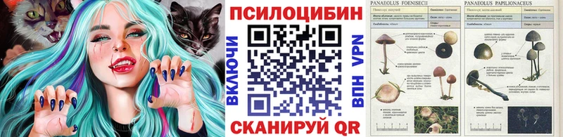 нарко площадка клад  Тюкалинск  Галлюциногенные грибы GOLDEN TEACHER 